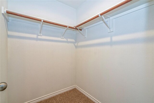 3922 Jayden Dr, Corpus Christi, TX 78410 - spacious closet featuring carpet floors