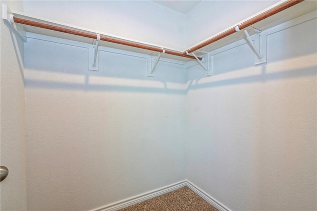 3922 Jayden Dr, Corpus Christi, TX 78410 - spacious closet with carpet flooring