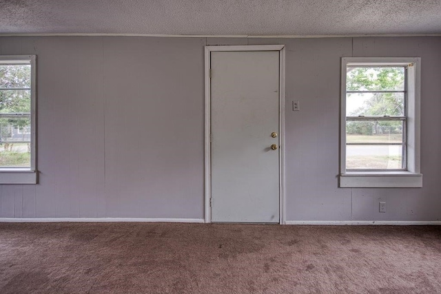 carpeted spare room featuring wood walls and a textured ceiling