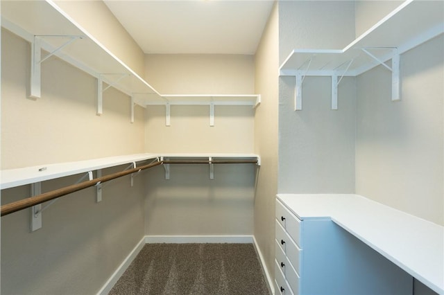 walk in closet featuring dark carpet