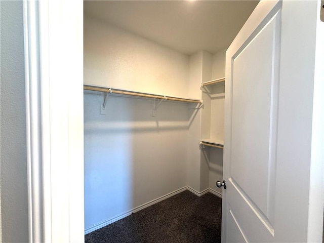 1030 Ocean Breeze St, Portland, TX 78374 - walk in closet with dark colored carpet