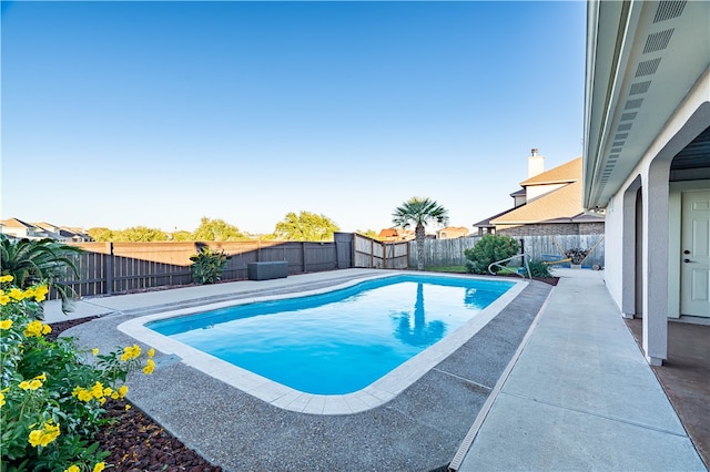 view of swimming pool featuring a patio area