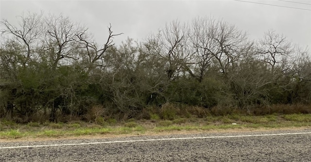 n/a Fm 1329, San Diego TX, 78332 land for sale