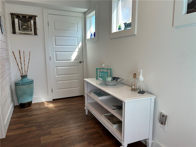 doorway with dark hardwood / wood-style floors