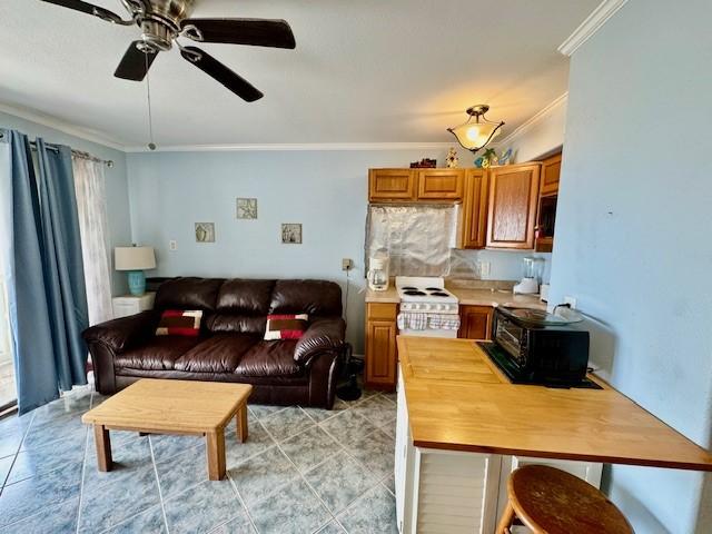 living room with crown molding and ceiling fan