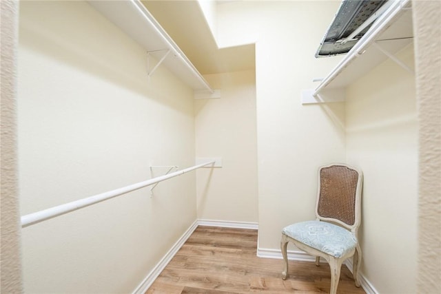 spacious closet featuring light hardwood / wood-style flooring