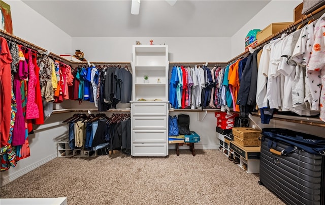 7622 Neches Dr, Corpus Christi, TX 78414 - spacious closet with carpet floors and a ceiling fan