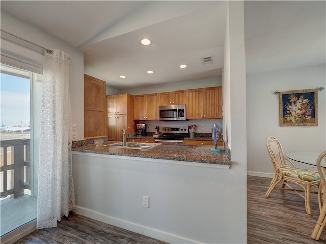 kitchen with appliances with stainless steel finishes, dark stone counters, sink, and dark hardwood / wood-style flooring