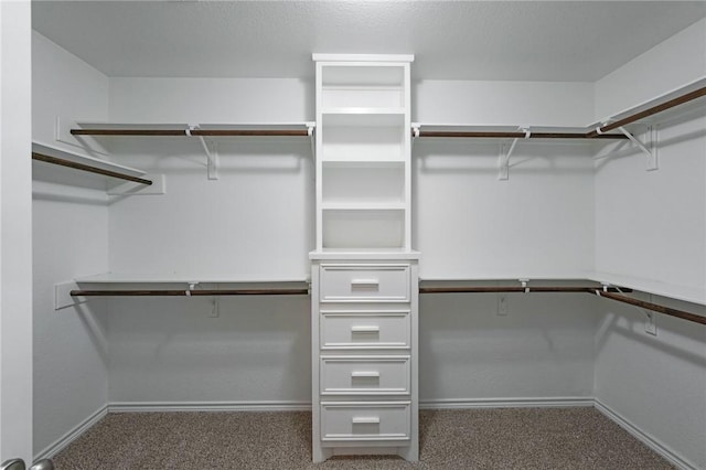 420 Palmer Dr, Portland, TX 78374 - walk in closet with carpet flooring