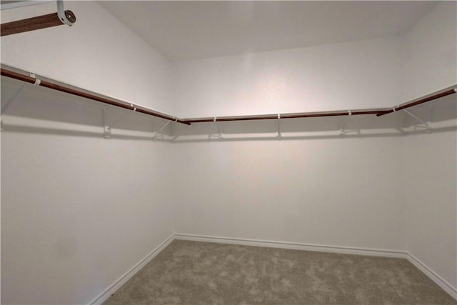 spacious closet with carpet