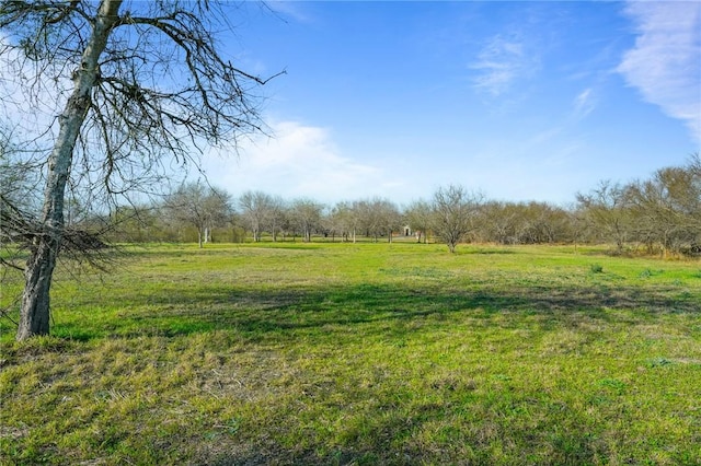 view of yard featuring a rural view