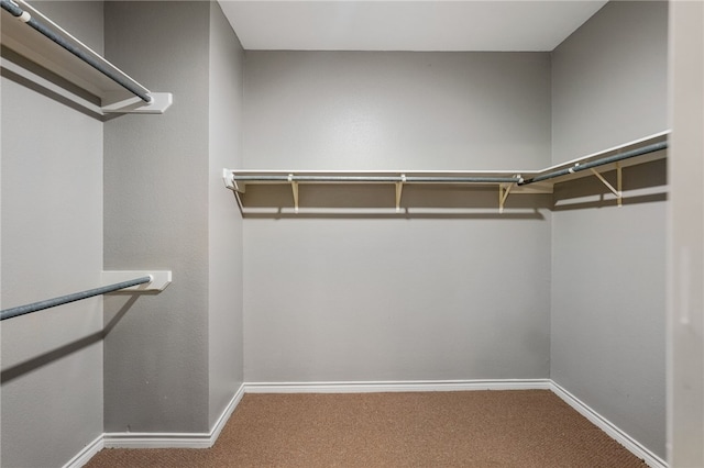 7705 Jacinto, Corpus Christi, TX 78413 - spacious closet with carpet floors