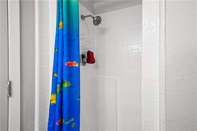 interior details featuring curtained shower