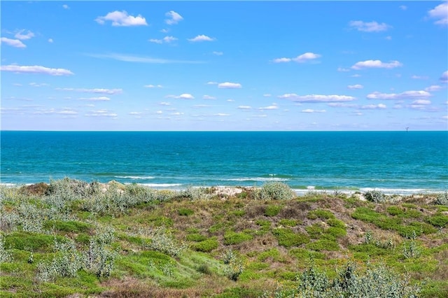 property view of water with a beach view