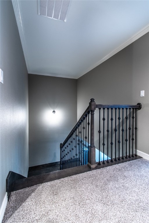 stairway featuring ornamental molding and carpet floors