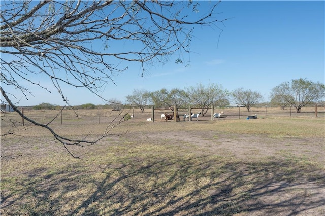 view of yard with a rural view