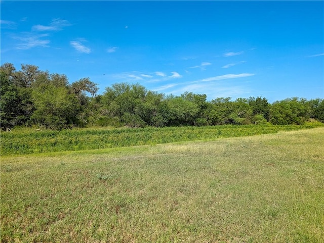155 Buffalo Rd, George West, TX 78022 - photo 39