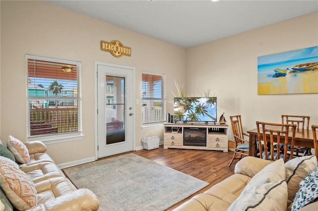 living room featuring a fireplace and light hardwood / wood-style flooring