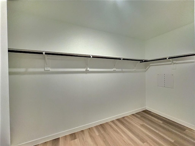 3405 Tanzanite Dr, Corpus Christi, TX 78414 - spacious closet with light wood finished floors