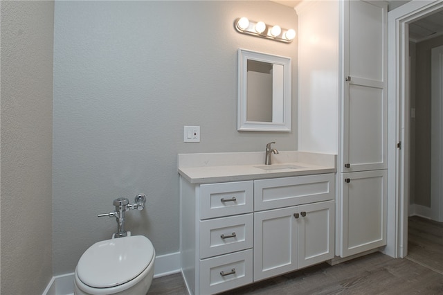 bathroom featuring toilet, vanity, and hardwood / wood-style floors