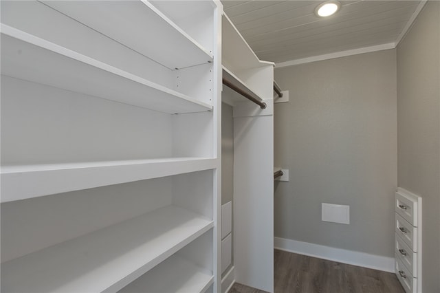 spacious closet with dark wood-type flooring