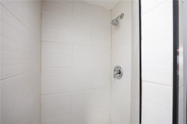 room details with tiled shower