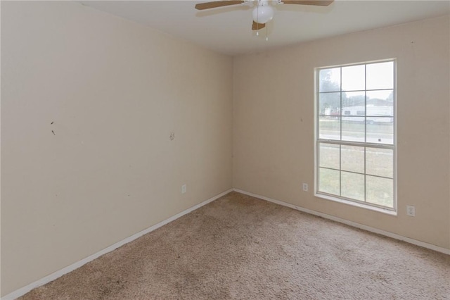 9002 Caroline, Corpus Christi, TX 78409 - photo 9