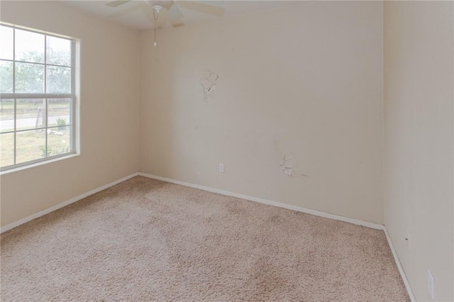 9002 Caroline, Corpus Christi, TX 78409 - photo 10