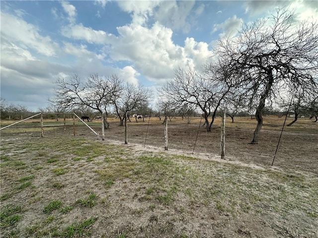 view of yard with a rural view