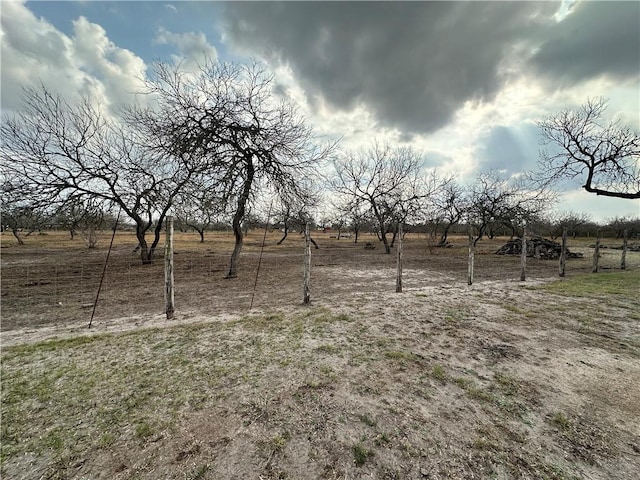 view of yard with a rural view