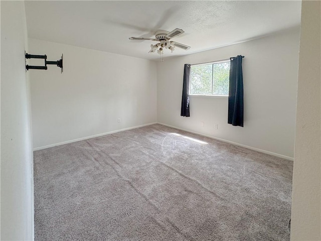 4249 Clear Frk, Corpus Christi, TX 78410 - photo 18