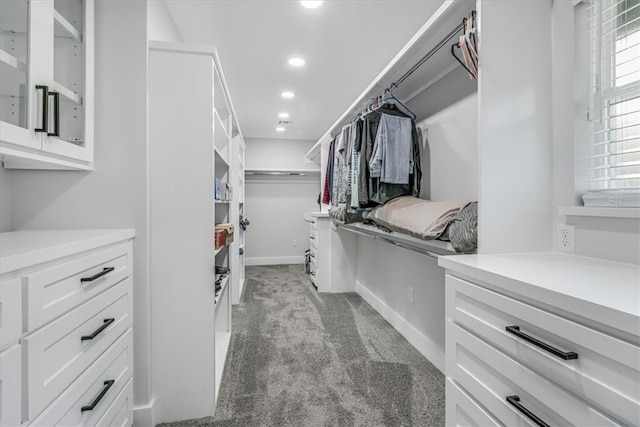 7025 Ashdown Dr, Corpus Christi, TX 78413 - walk in closet with light carpet