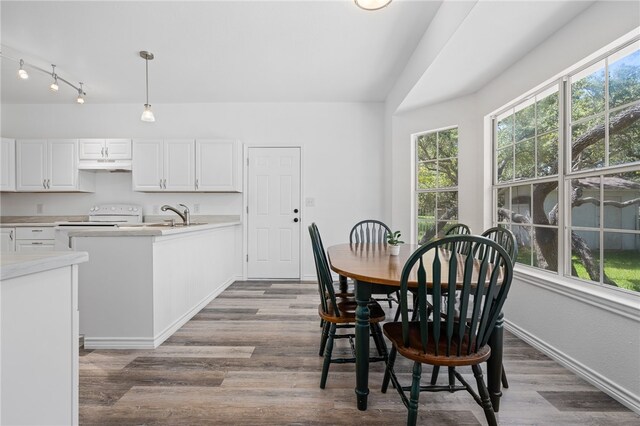 dining space with wood-type flooring, a healthy amount of sunlight, and sink