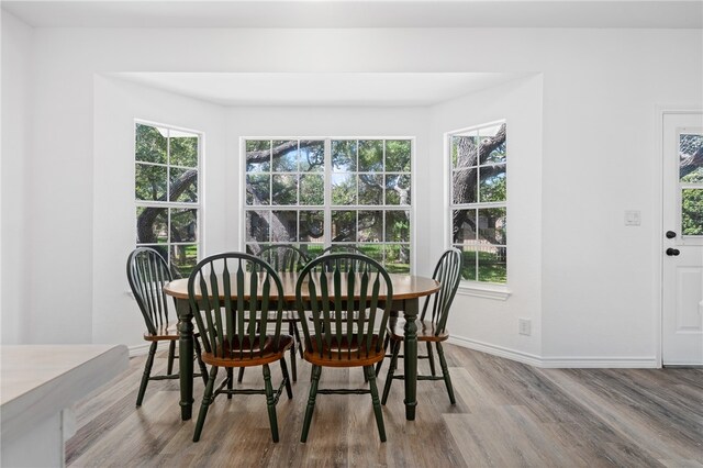 dining room with hardwood / wood-style floors