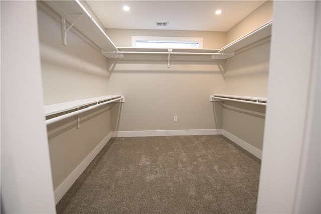 walk in closet featuring carpet and visible vents