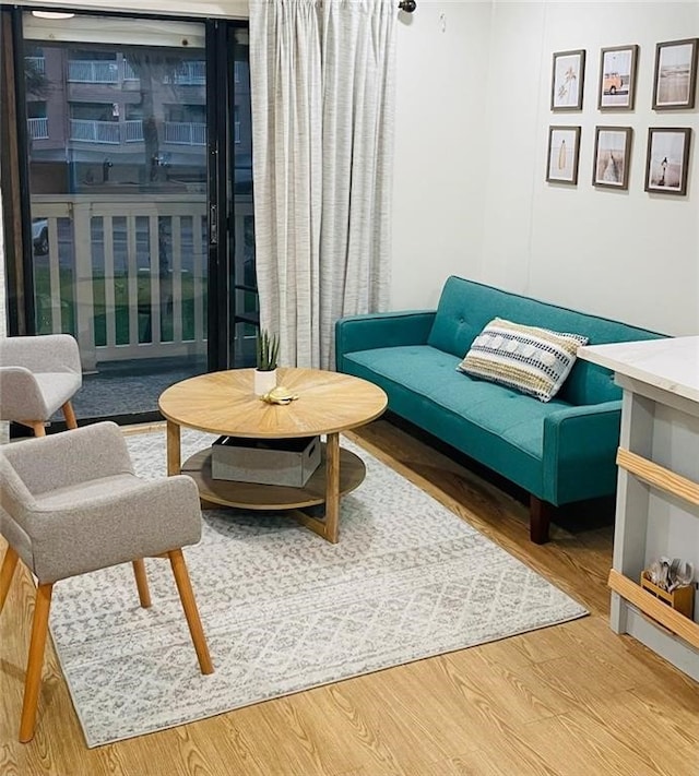 sitting room featuring hardwood / wood-style flooring