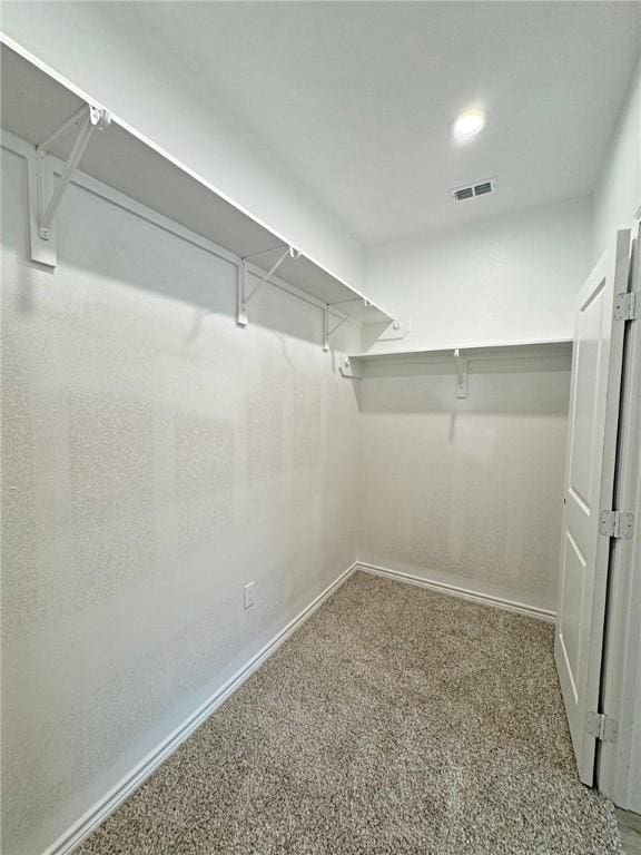 walk in closet featuring carpet flooring