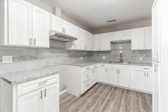 1337 Daytona Dr, Corpus Christi, TX 78415 - kitchen featuring a sink, under cabinet range hood, light wood finished floors, and backsplash