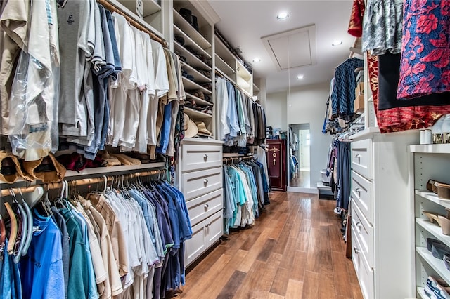 spacious closet with wood-type flooring