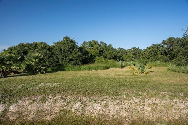 view of local wilderness