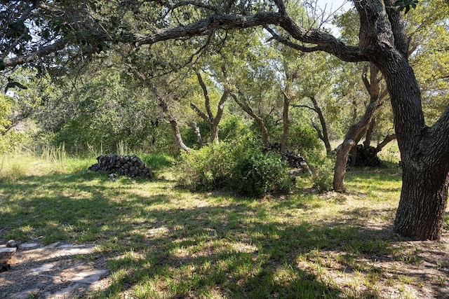 view of local wilderness