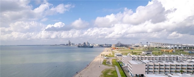 property view of water featuring a beach view