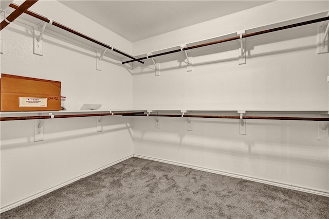 spacious closet with carpet floors