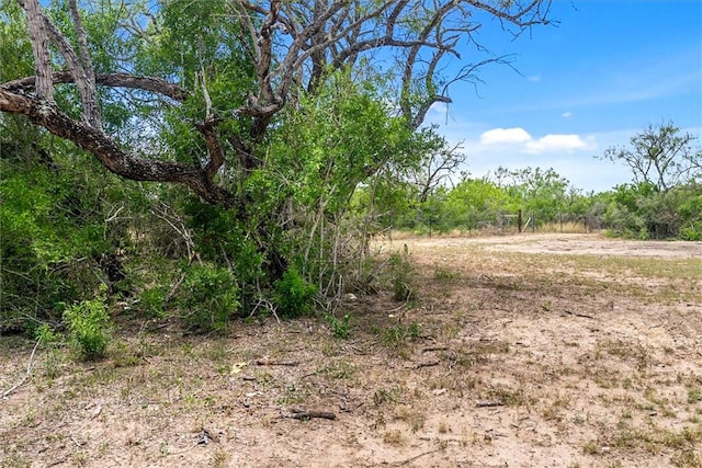 1402 Stephens Dr, George West, TX 78022 - photo 6