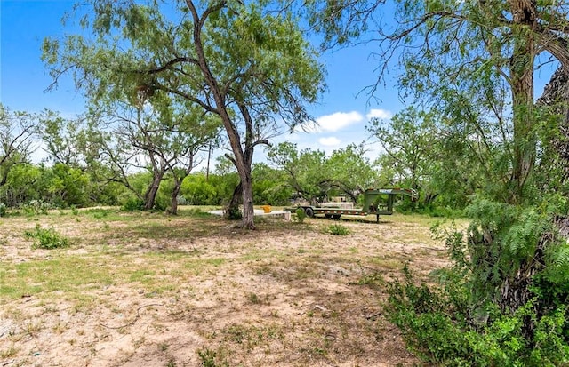 1402 Stephens Dr, George West, TX 78022 - photo 8
