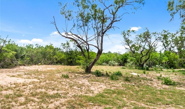 1402 Stephens Dr, George West, TX 78022 - photo 9