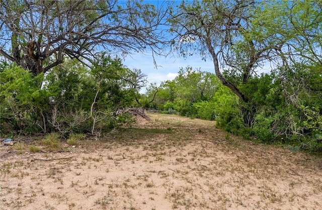 1402 Stephens Dr, George West, TX 78022 - photo 2