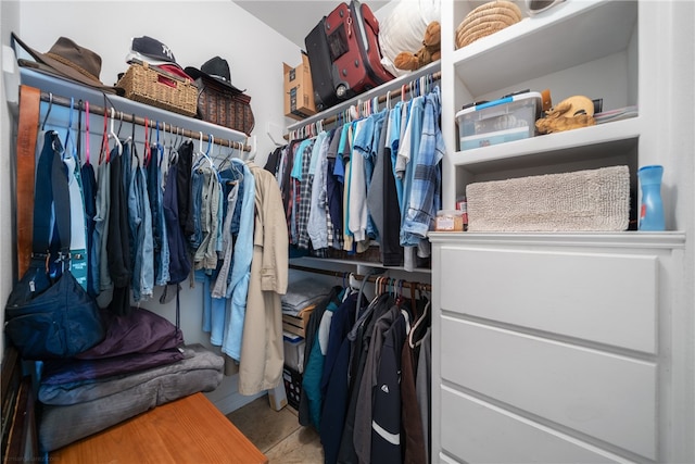 view of spacious closet