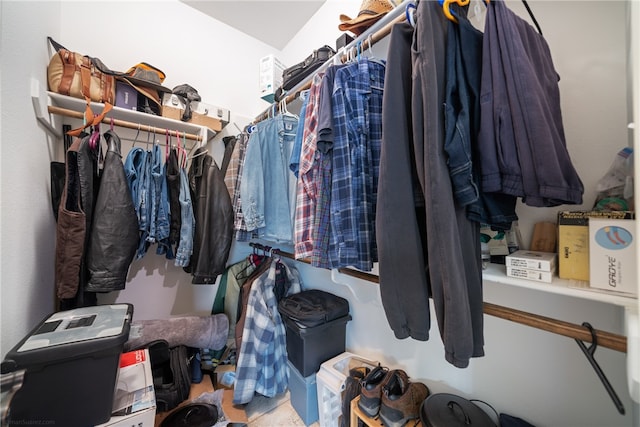 view of spacious closet