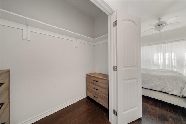 walk in closet featuring ceiling fan and dark hardwood / wood-style flooring